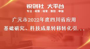 廣元市2022年度四川省應(yīng)用基礎(chǔ)研究、科技成果轉(zhuǎn)移轉(zhuǎn)化引導(dǎo)計(jì)劃項(xiàng)目的限額推薦類(lèi)項(xiàng)目獎(jiǎng)補(bǔ)政策